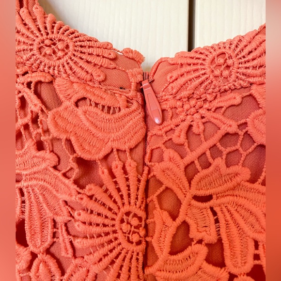 NWT Lulus Coral Orange Lace Halter Mini Dress - Picture 8 of 14